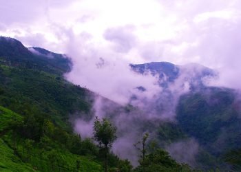 COONOOR